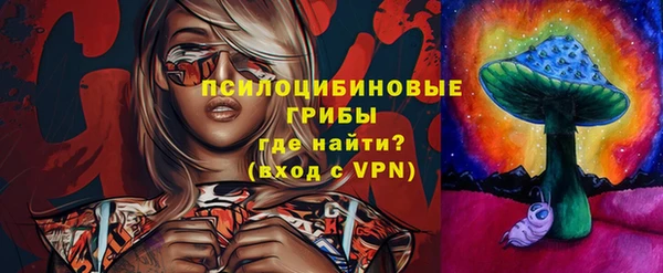 метадон Белокуриха