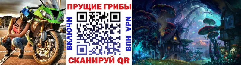 Галлюциногенные грибы Psilocybine cubensis наркота KRAKEN онион Михайлов